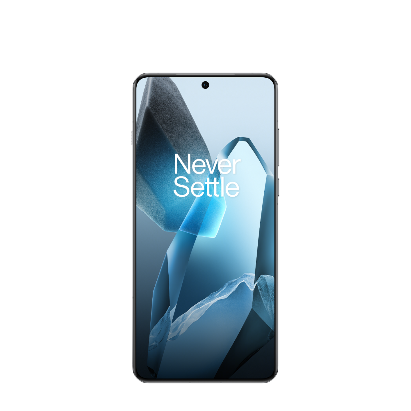 Смартфон OnePlus 13 24/1Tb Midnight Ocean (Синий)