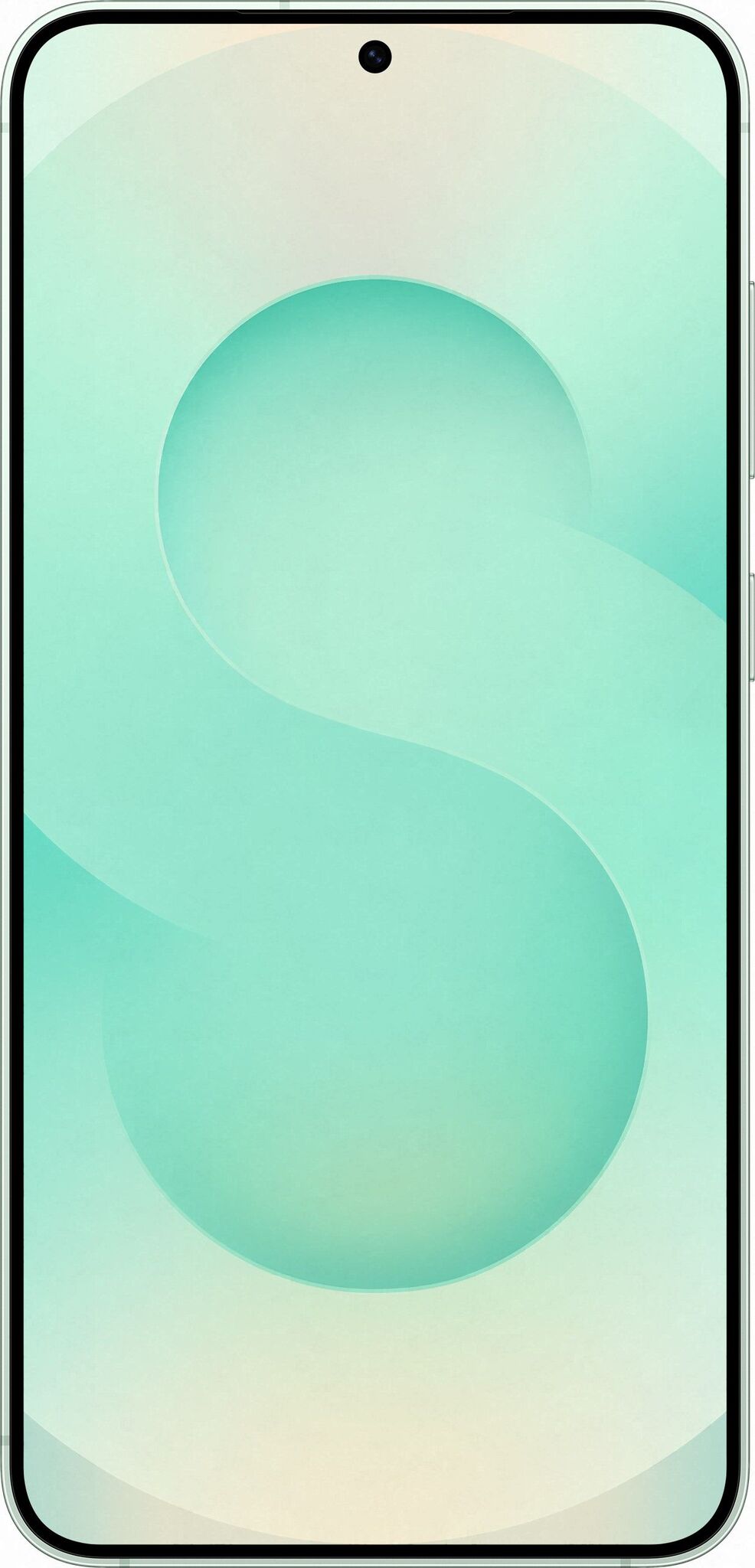 Смартфон Samsung Galaxy S25 Plus 12/512Gb Mint (Мятный)