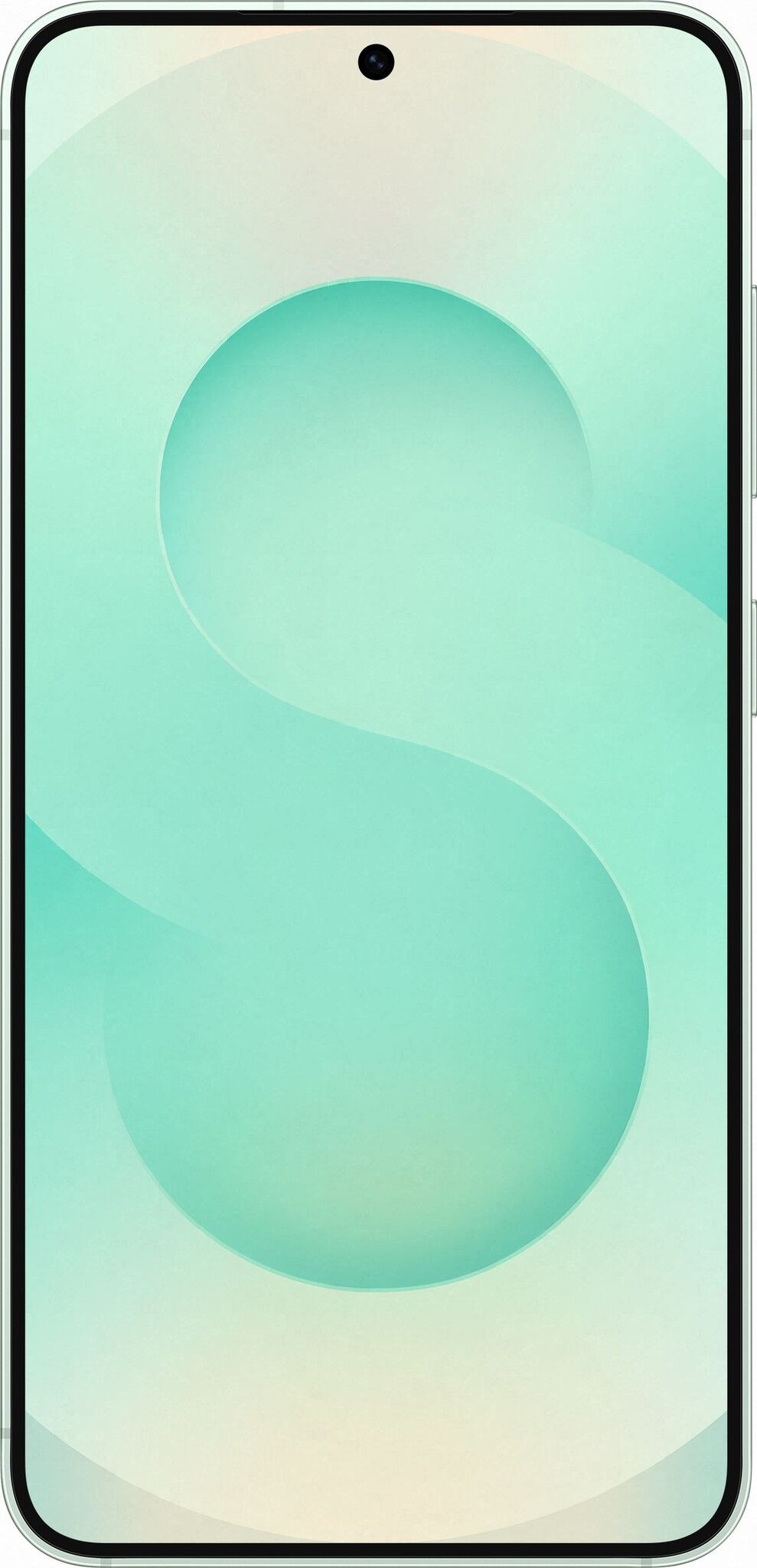 Смартфон Samsung Galaxy S25 12/512Gb Mint (Мятный)