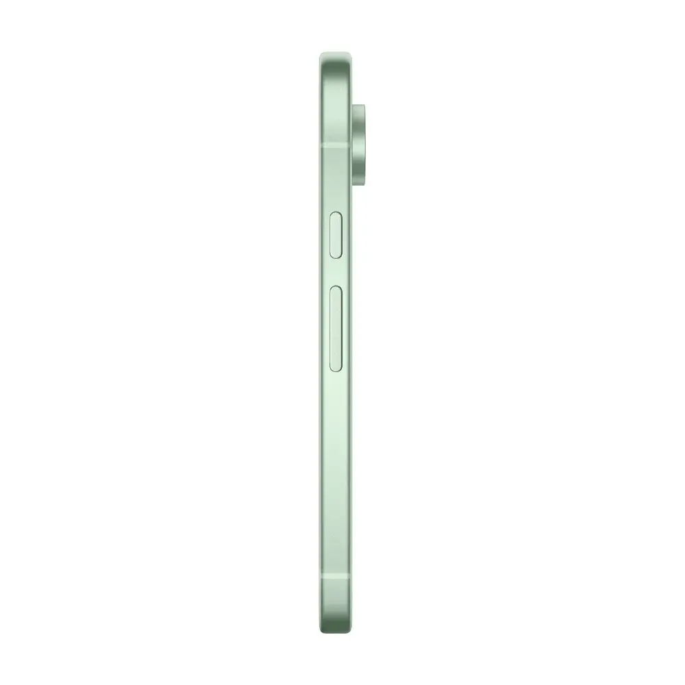 Смартфон Google Pixel 9 12/256Gb Wintergreen (Зелёный)