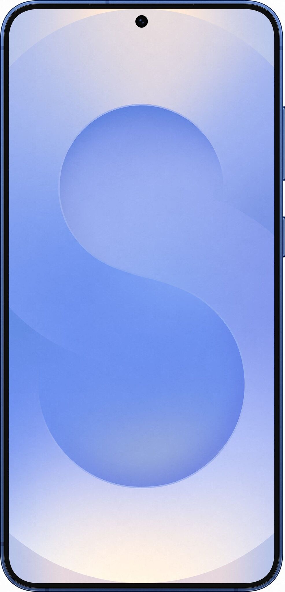 Смартфон Samsung Galaxy S25 Plus 12/256Gb Navy (Синий)