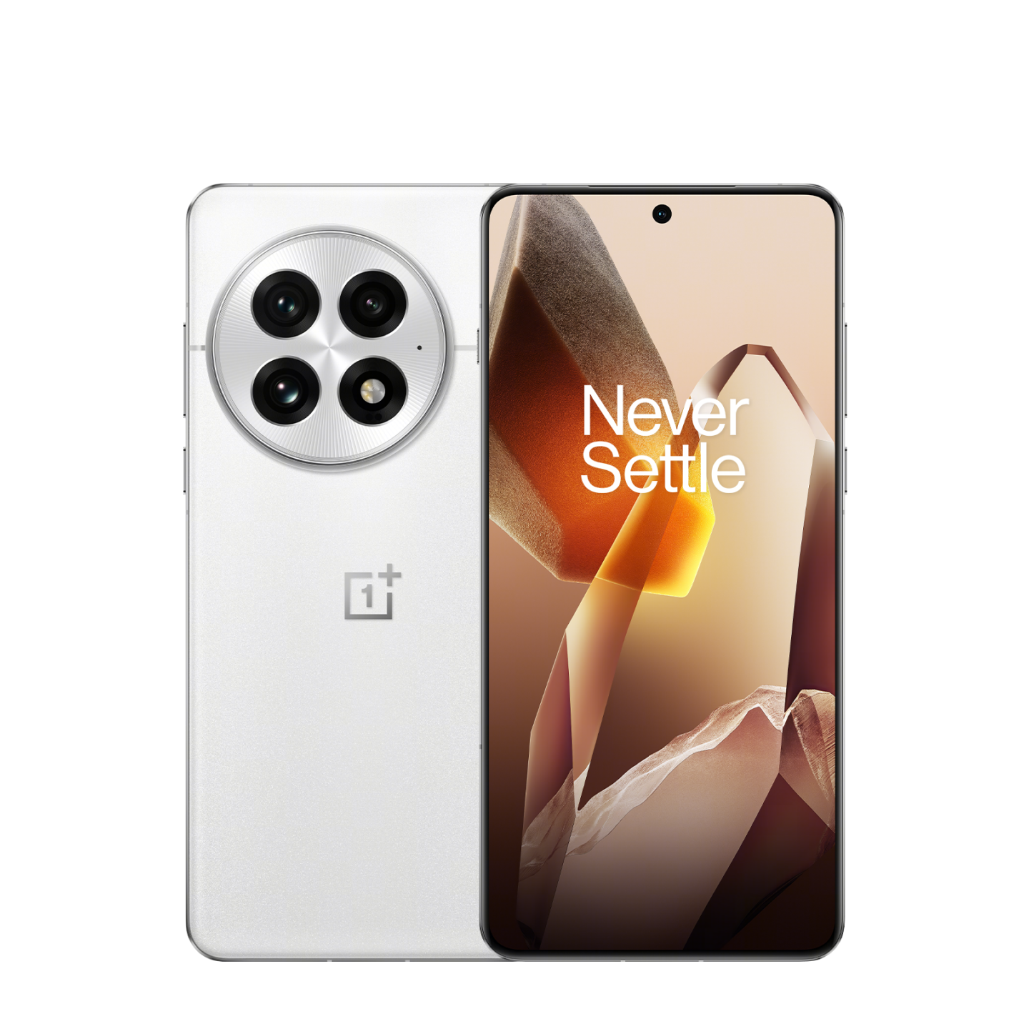 Смартфон OnePlus 13 12/256Gb Arctic Dawn (Белый)