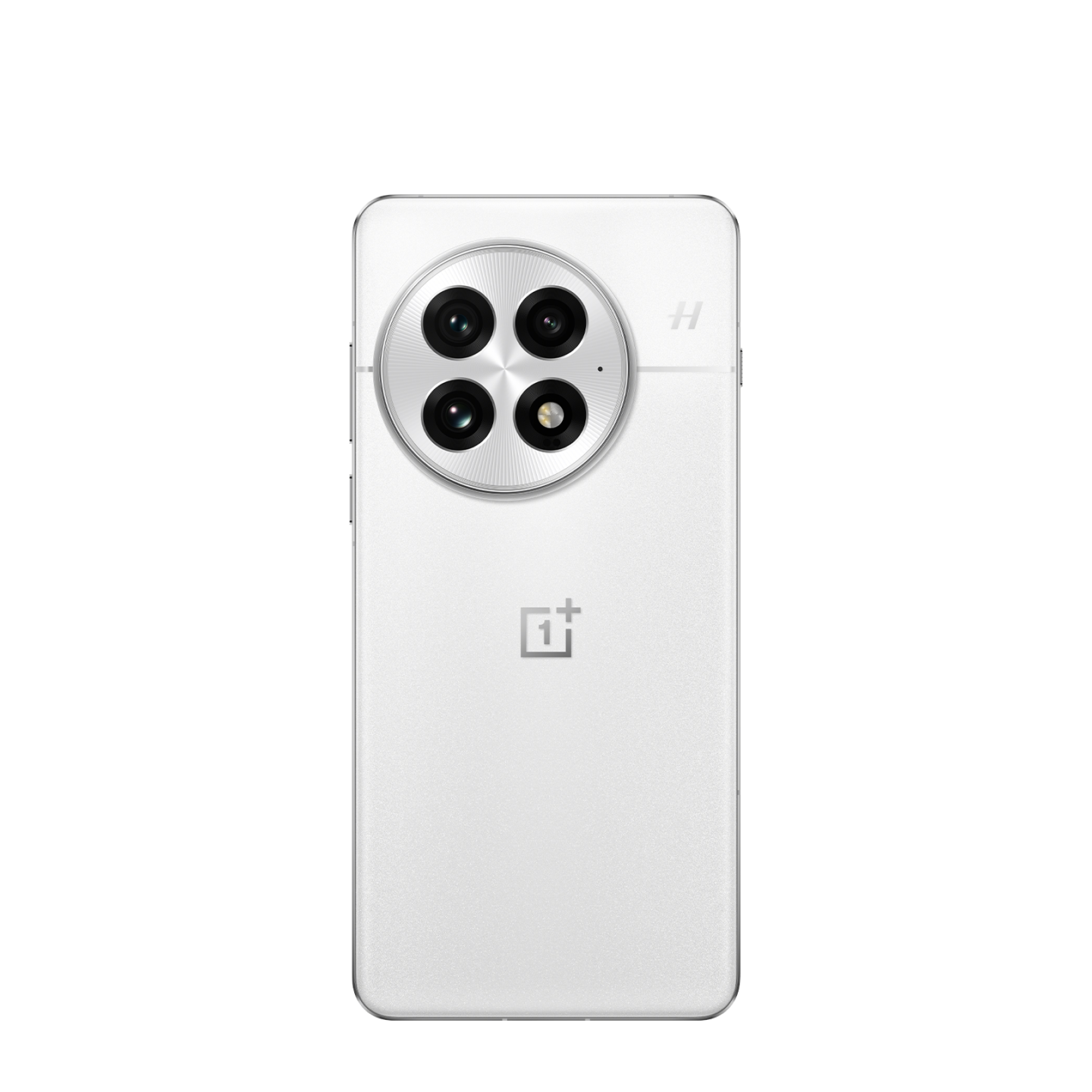 Смартфон OnePlus 13 24/1Tb Arctic Dawn (Белый)
