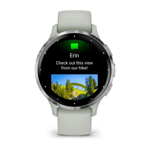 Умные часы Garmin VENU 3s Silver Sage/Gray (Серебристый/Серый)