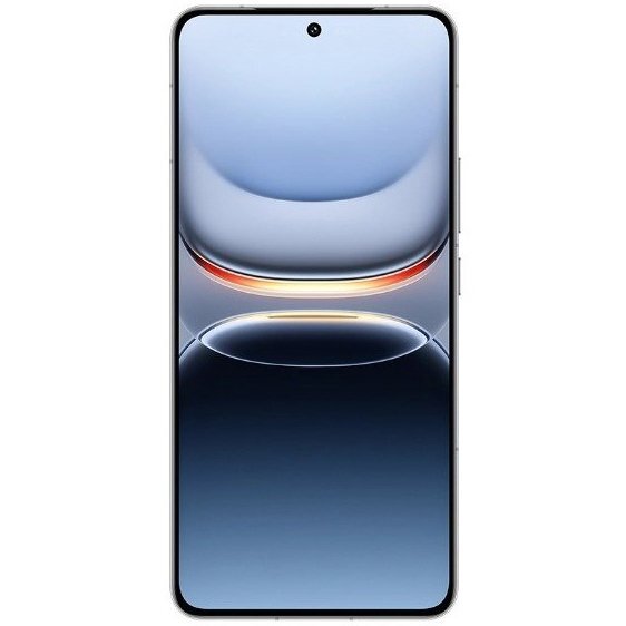 Смартфон Vivo IQOO 13 12/256Gb Gray (Серый)