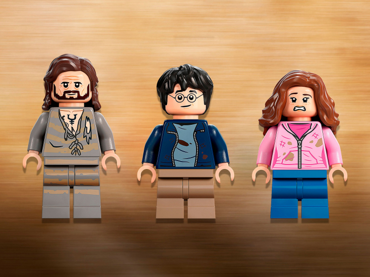 LEGO Harry Potter Двор Хогвартса: спасение Сириуса