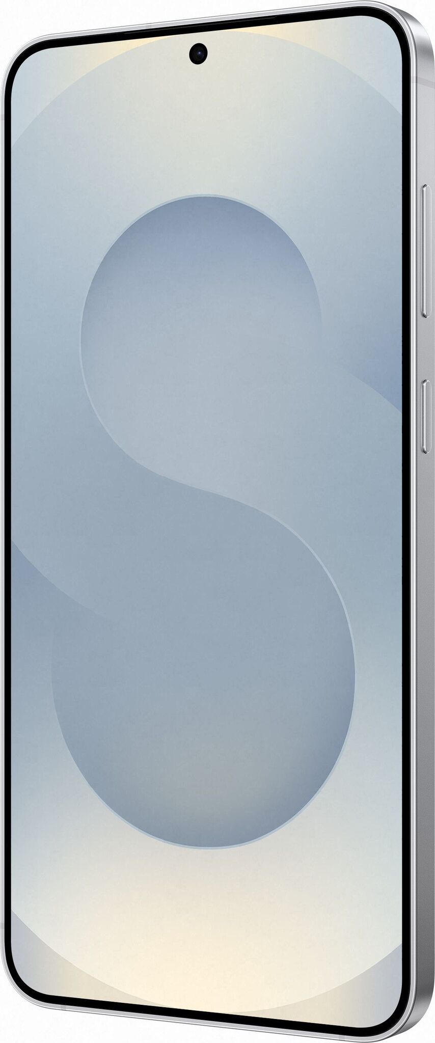 Смартфон Samsung Galaxy S25 Plus 12/512Gb Silver Shadow (Серебристый)