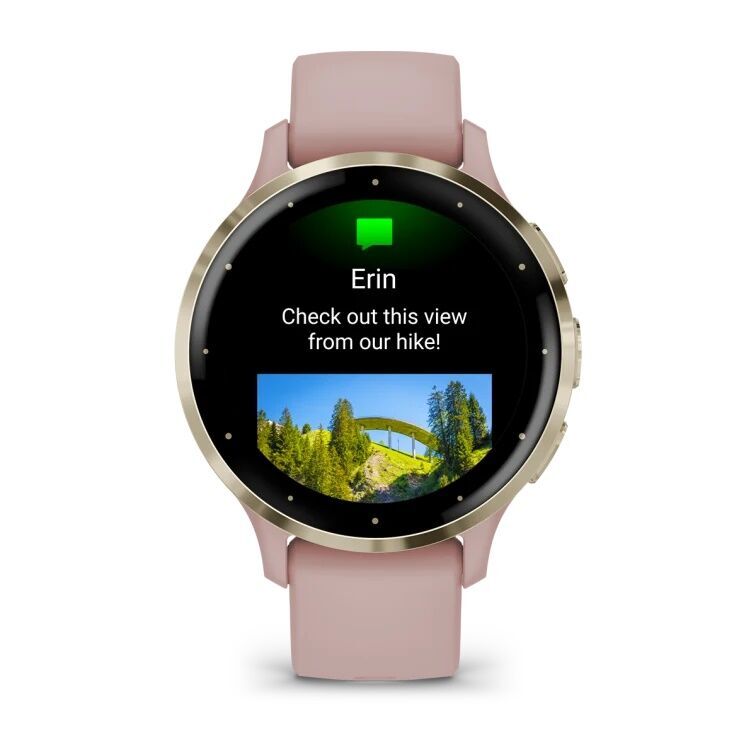 Умные часы Garmin VENU 3s Soft Gold Dust/Rose (Золотистый)