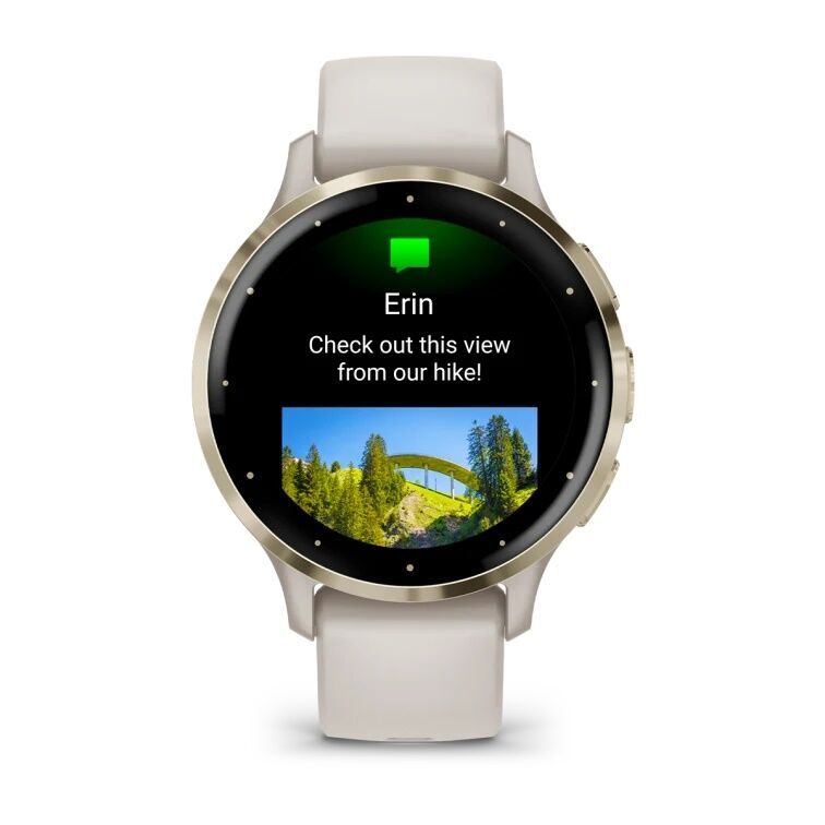 Умные часы Garmin VENU 3s Soft Gold IVORY