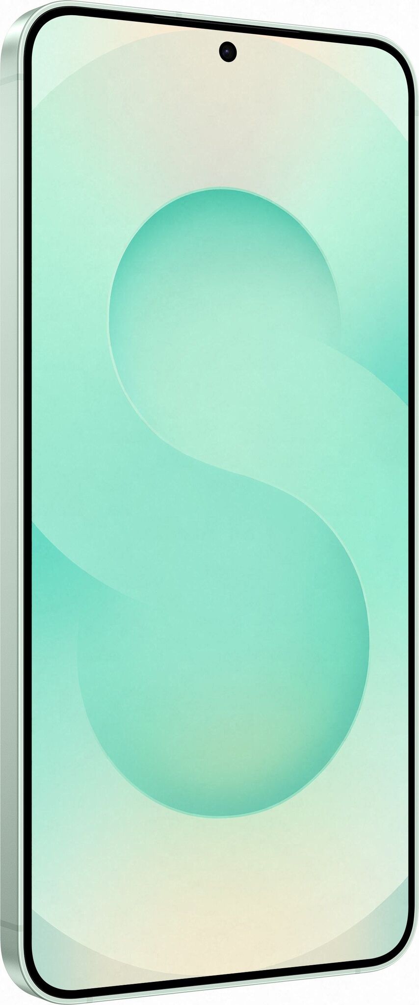 Смартфон Samsung Galaxy S25 Plus 12/512Gb Mint (Мятный)