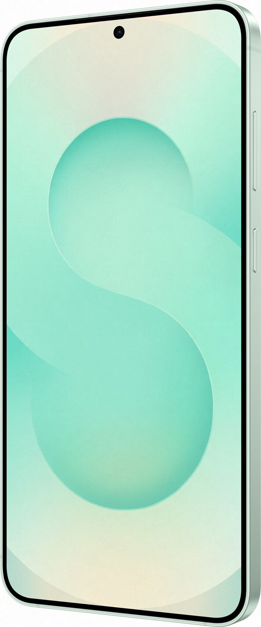 Смартфон Samsung Galaxy S25 Plus 12/512Gb Mint (Мятный)