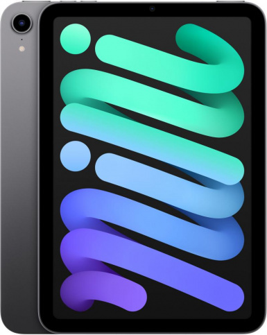 Apple iPad mini 256 Гб Wi-Fi 2021 Space Gray (Серый Космос)