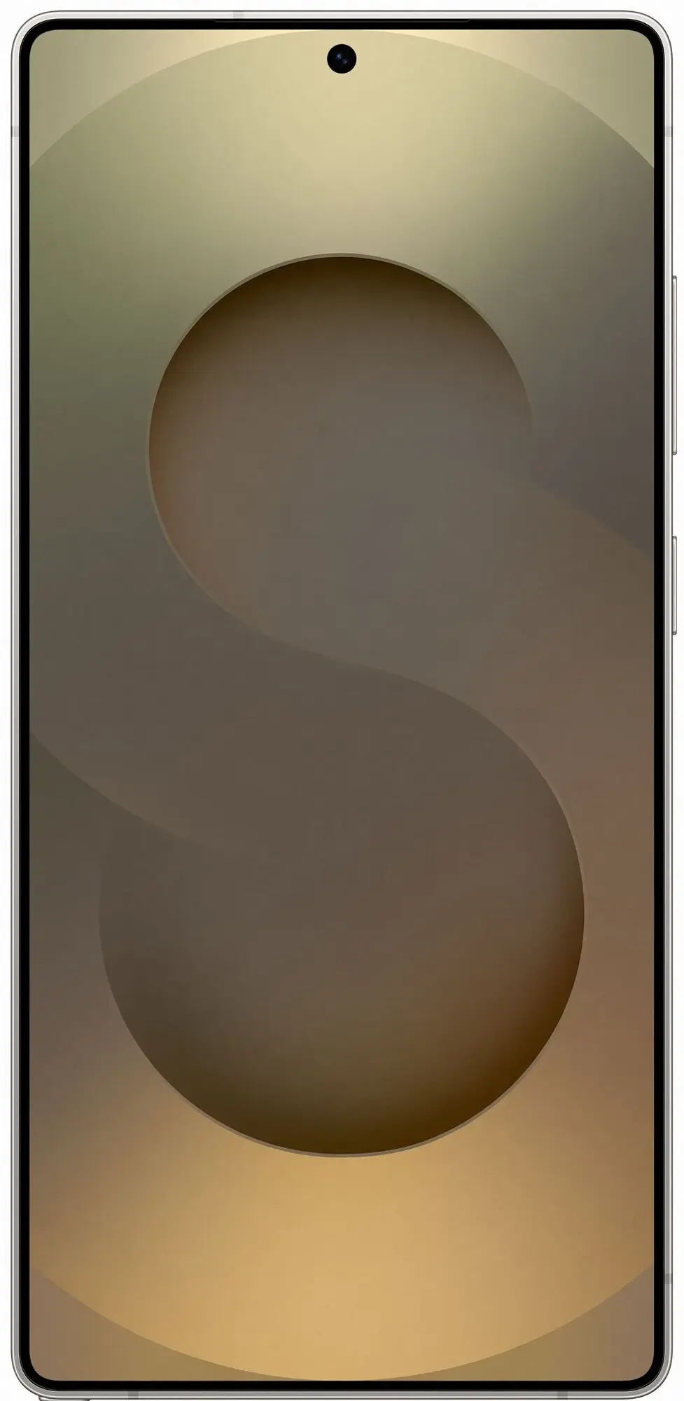 Смартфон Samsung Galaxy S25 Ultra 12/256Gb Gray Titanium (Серый Титан)